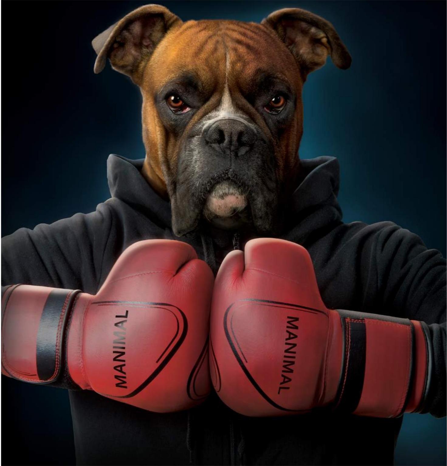 Vincent Hie 版权画