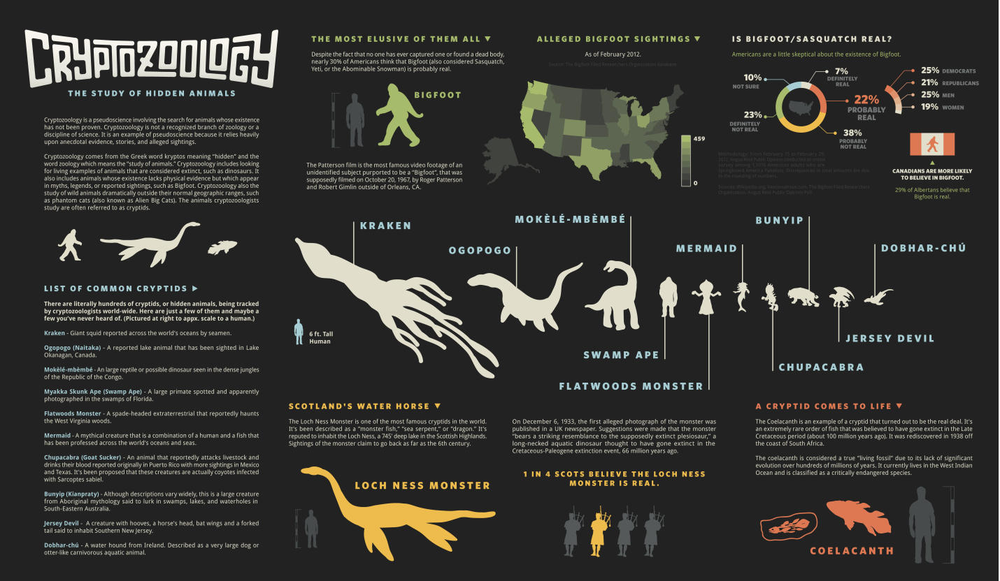 Aiden 神秘动物学信息图