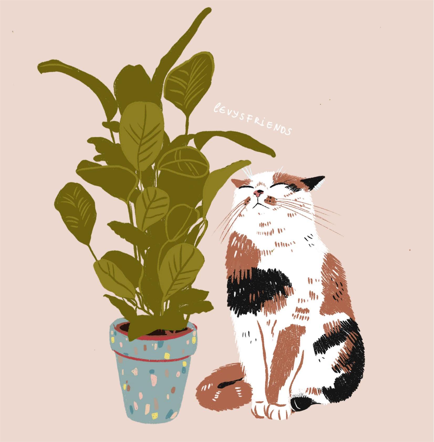 Alisa Levytsky 版权画