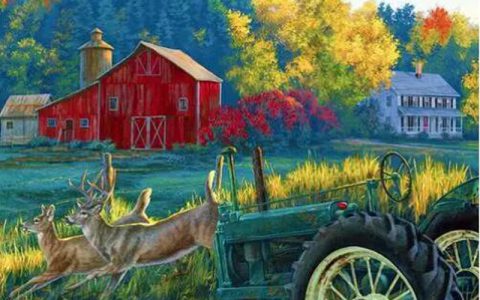 Darrell Bush 版权画