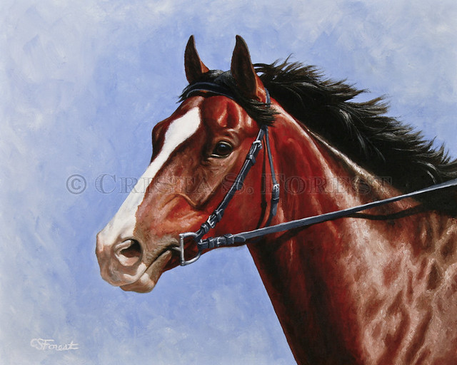 CRISTA S. FOREST 版权画