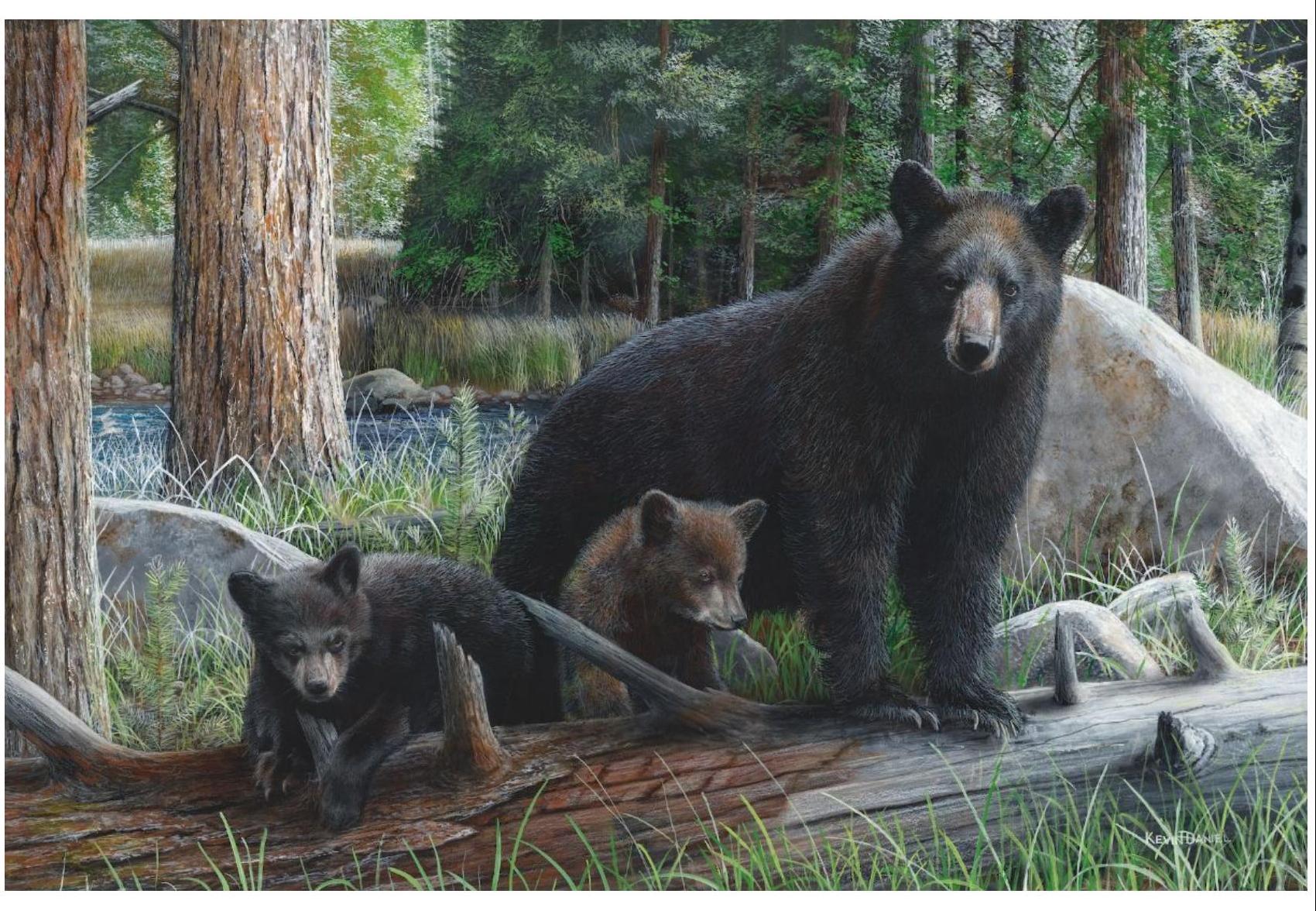 Debra Ann Daniel 版权