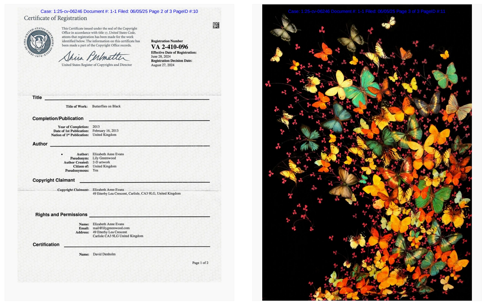 Elizabeth Anne Evans 版权