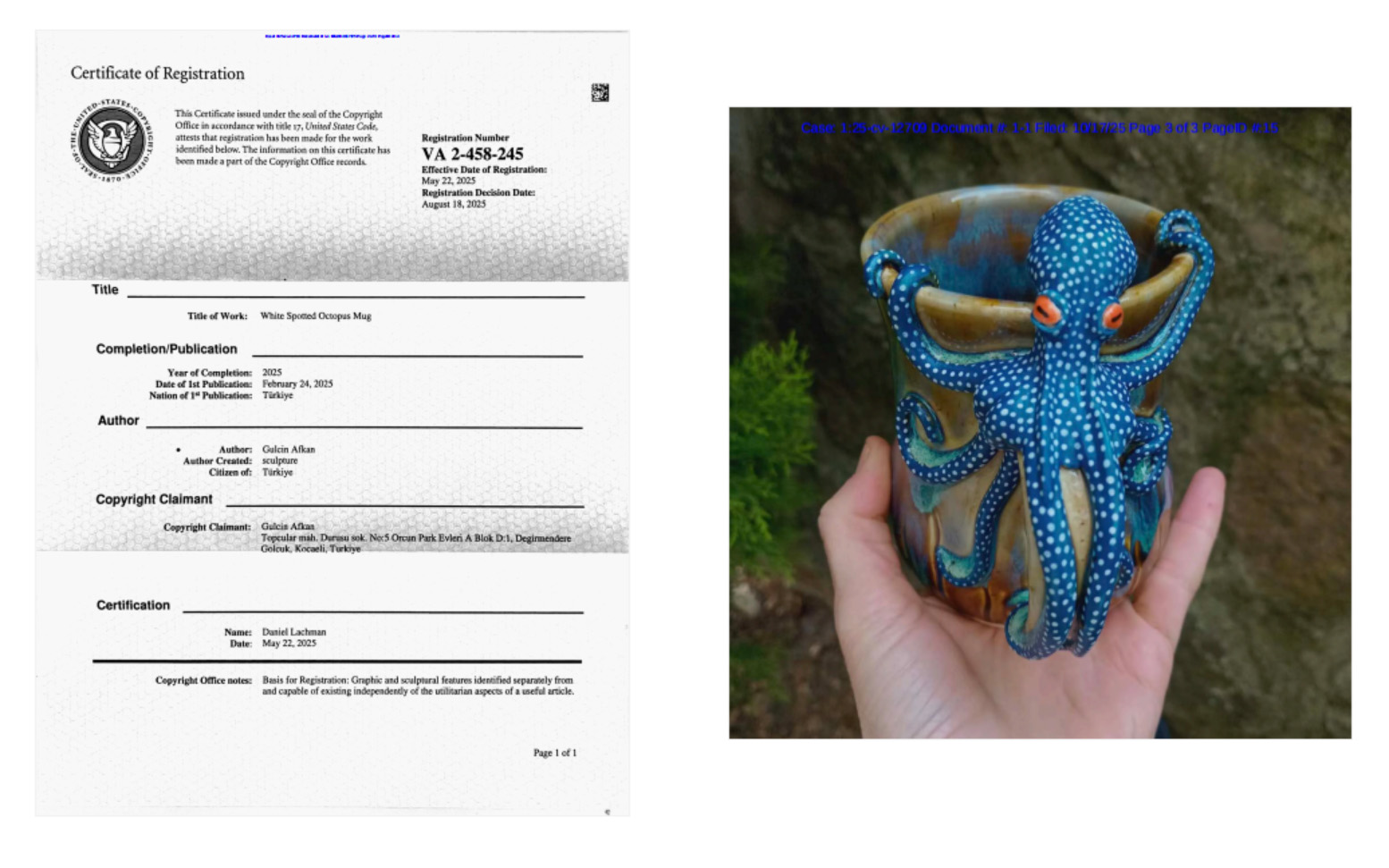 Gulcin Afkan 章鱼杯版权