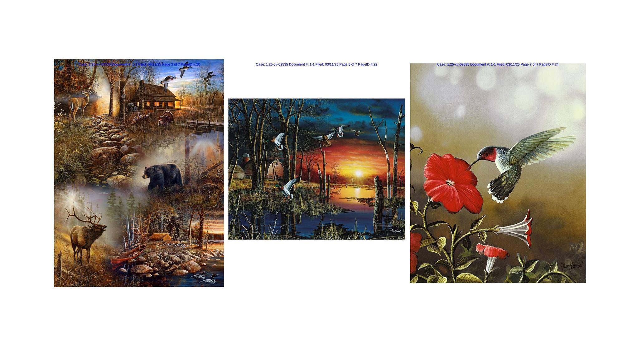 Jim Hansel 动物版权