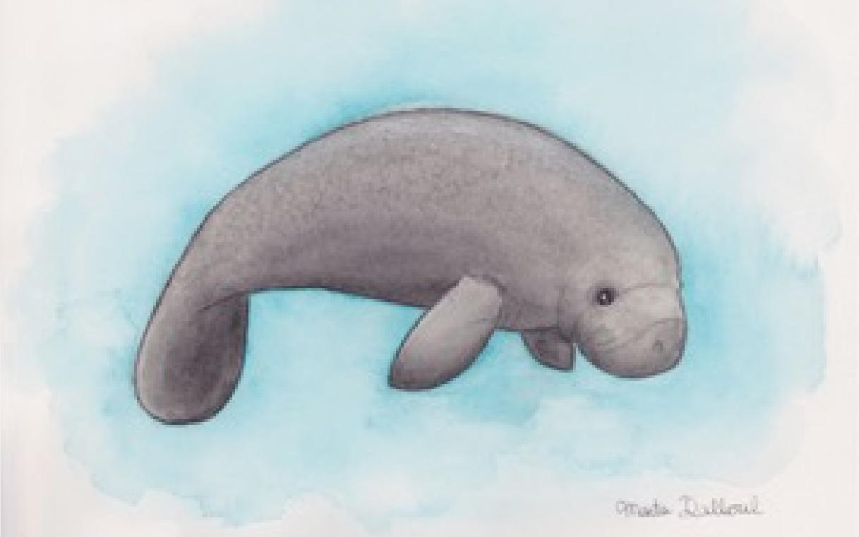 Marta Rodriguez Veiga 版权