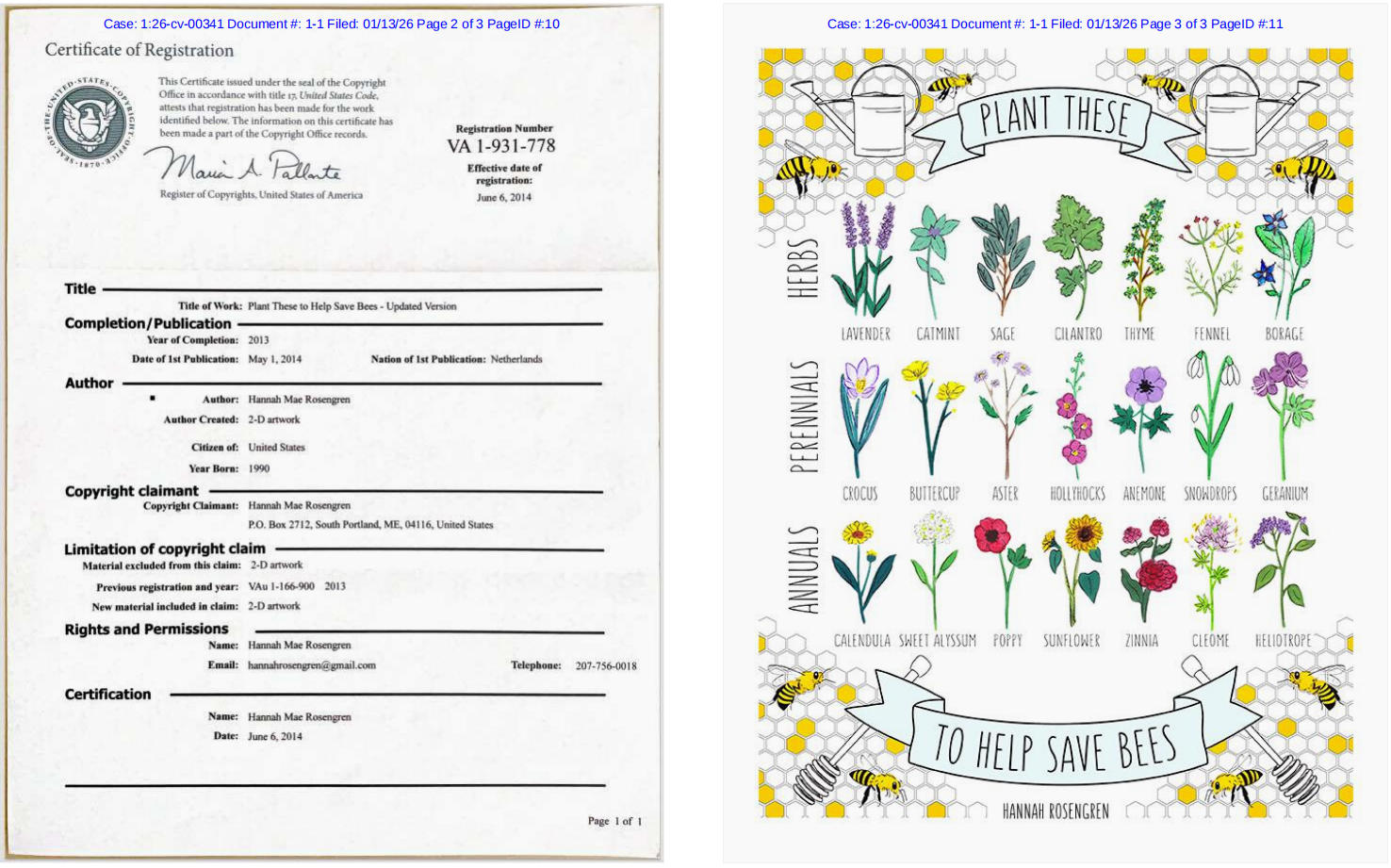 Hannah 拯救蜜蜂的植物版权