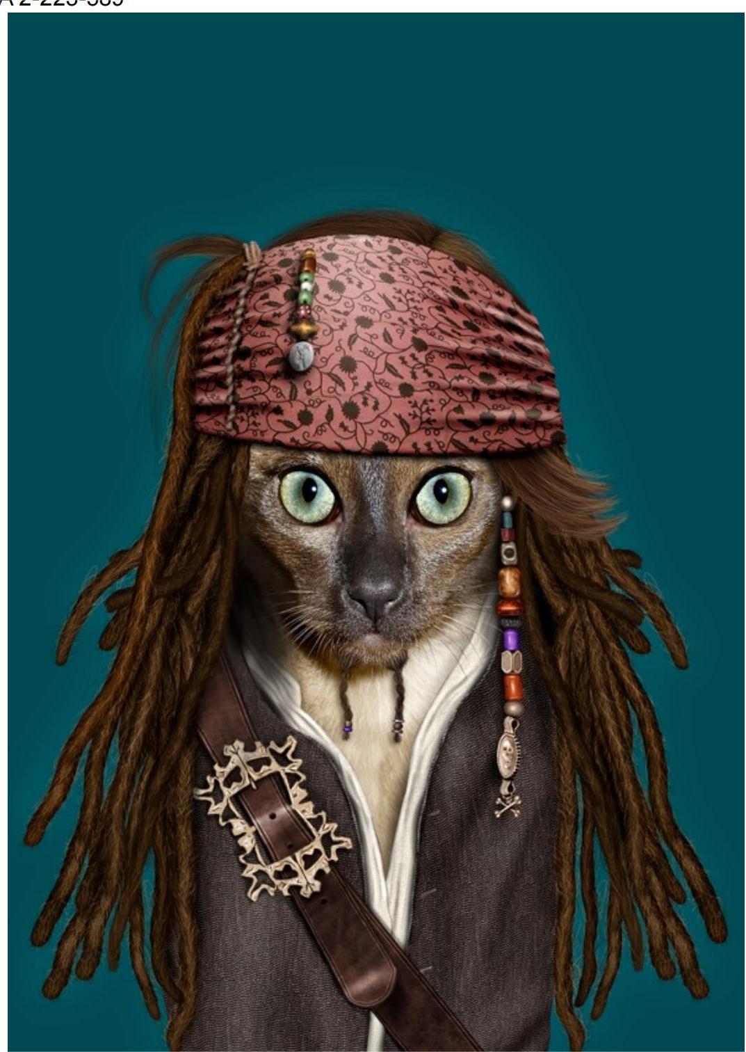 PETS ROCK 宠物摇滚