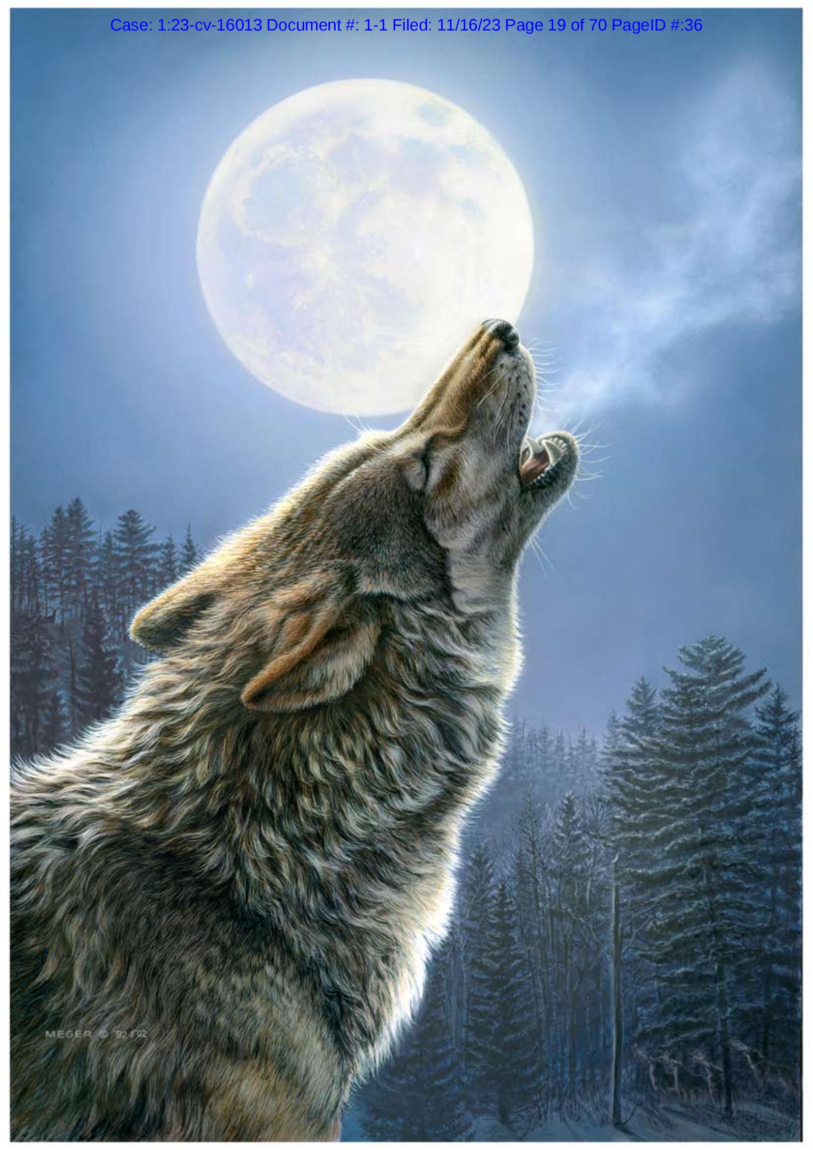 LAURENE MEGER 版权画